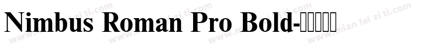 Nimbus Roman Pro Bold字体转换